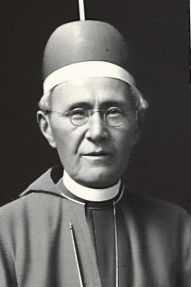 Saint Joseph Freinademetz